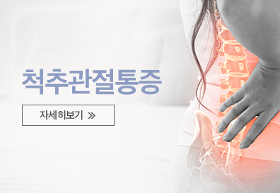 척추관절통증